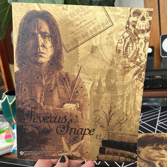 Harry Potter and Severus Snape Art Prints - Picture 4 of 5